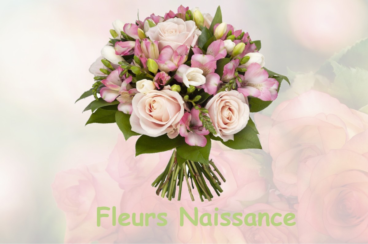 fleurs naissance SAINT-FRANCOIS-DE-SALES
